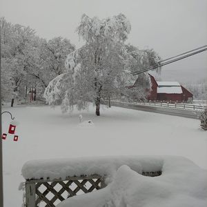 Meet your Posher, Jo